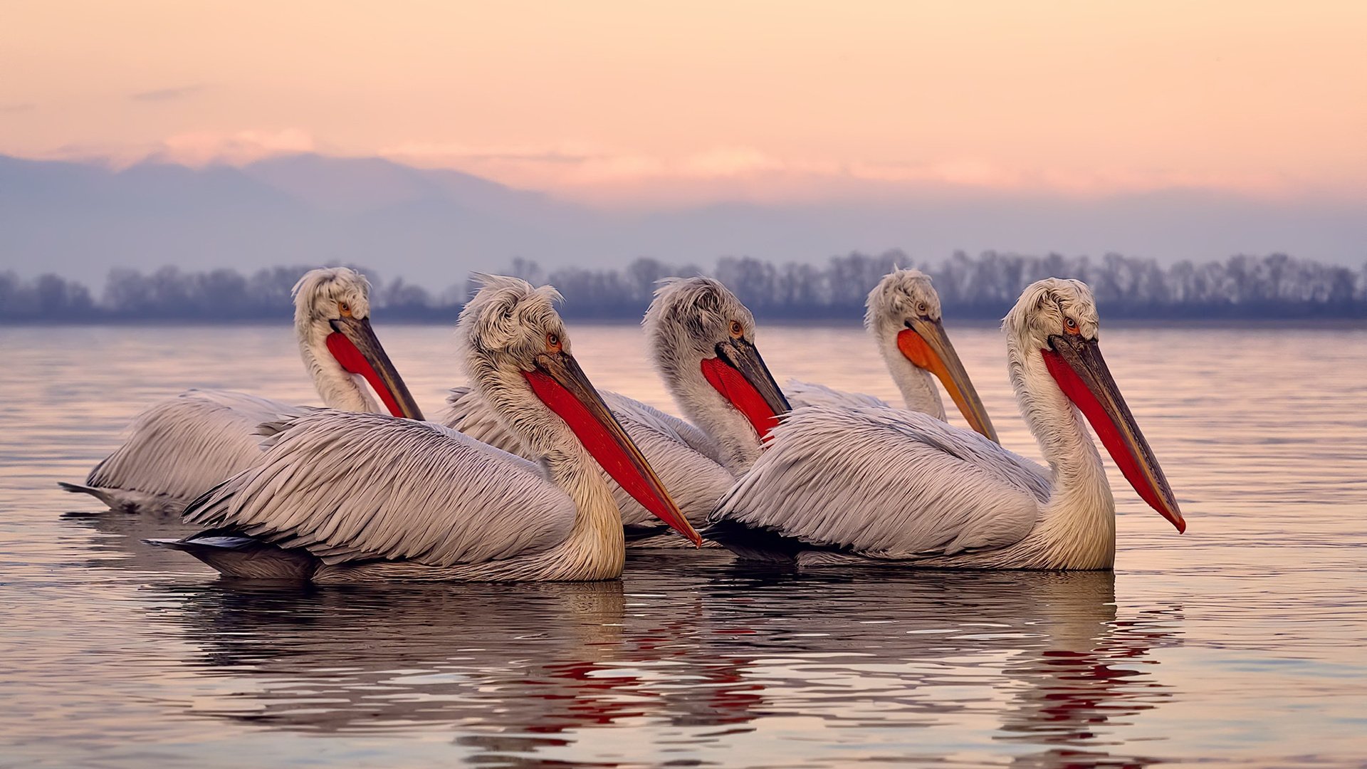 kaiyun开云·官方网站-《电竞比赛怎样吸引年轻观众?内容创新是关键》,电竞如何吸引专业观众