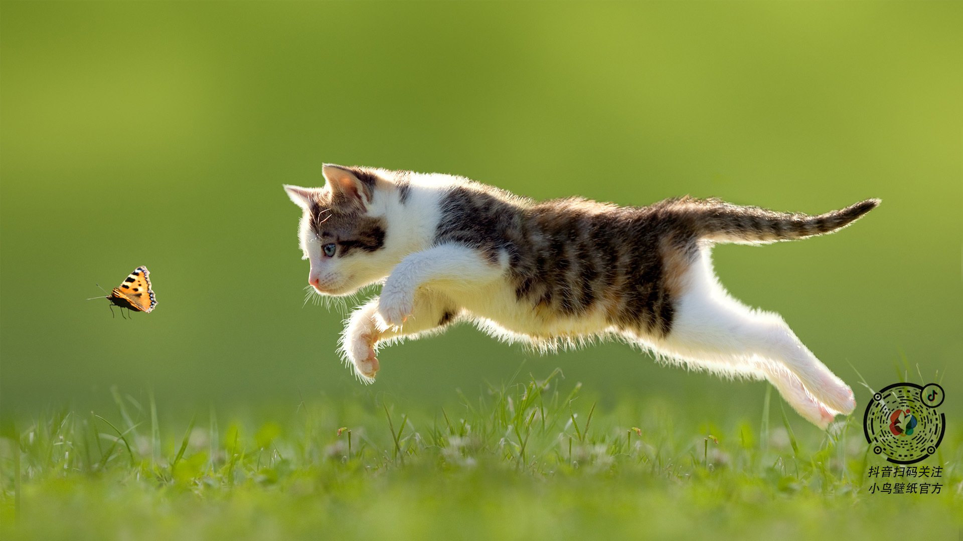 kaiyun中国官方网站-国际热身赛中国青年队战胜 球员展现拼搏精神，国际热身赛赛程