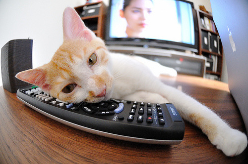 开云在线直播-掩护后节奏调整是否决定得分效率，掩护配合的主要步骤是由挡和拆两个动作组成