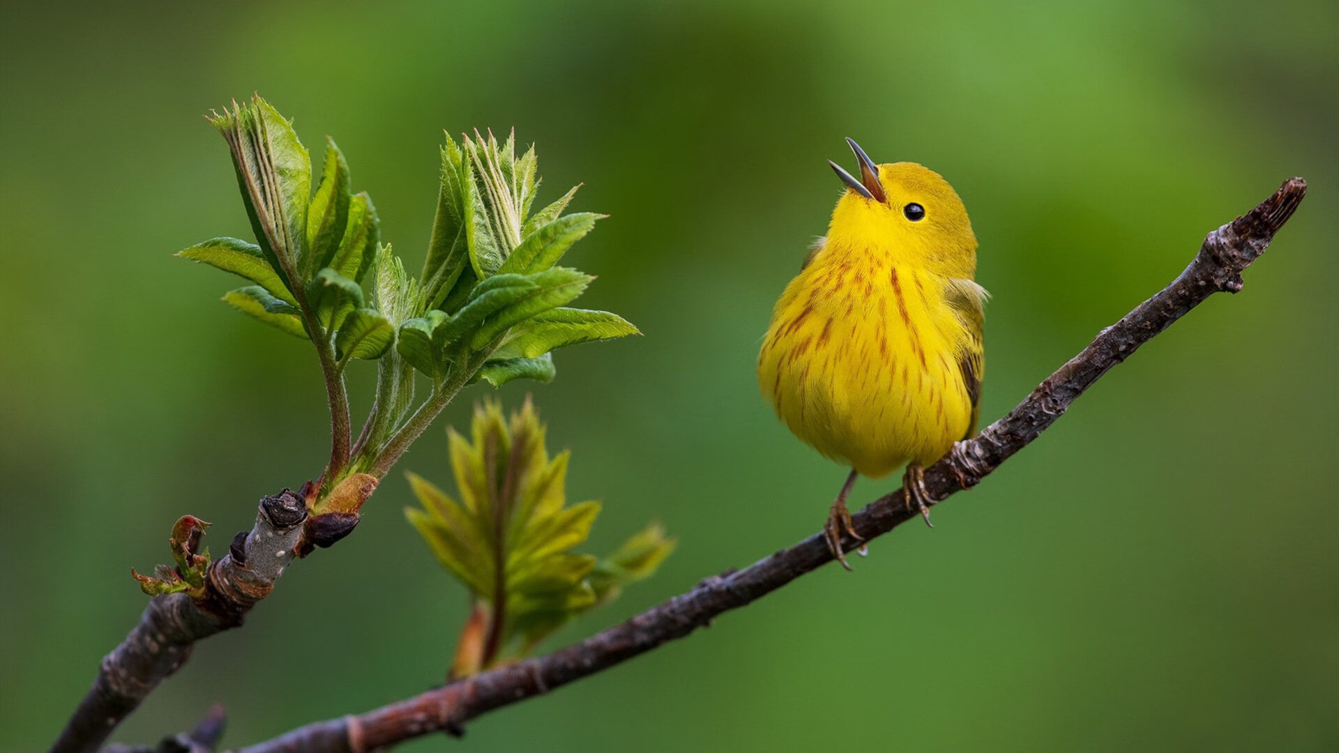 详细阅读:开云·体育全站登录地址-女子队社交媒体互动率领先男队,女子队员 开云·体育全站登录地址-女子队社交媒体互动率领先男队,女子队员