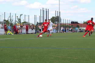 开云官网在线-特色足球运动场设计结合智慧城市理念，实现多功能利用，趣味足球场设计